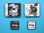 poke-dskeshi-bw2-b.jpg