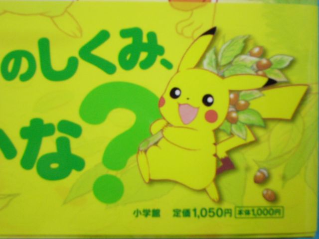 ポケモンのきのみひろい いそがないで歩こう