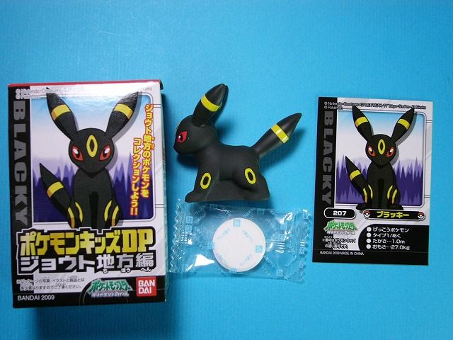 ポケモンキッズDP ジョウト地方編 ヒノアラシ&ブラッキー