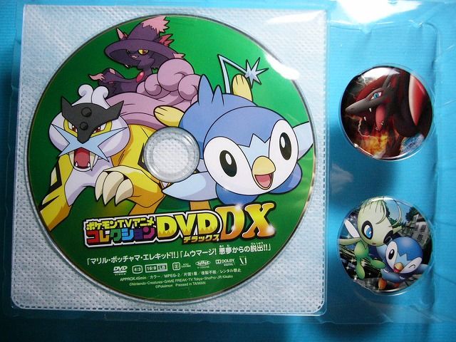 ポケモンTVアニメコレクションDVD DX: いそがないで歩こう